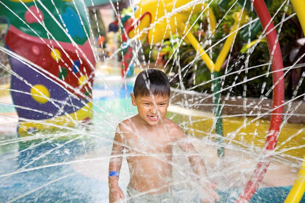 Hilton Garden Inn Cleveland/Twinsburg Servizi foto